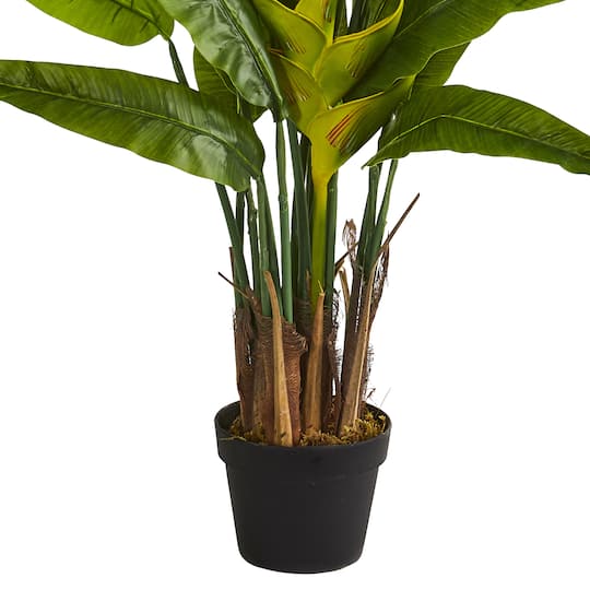 4.5ft. Potted Traveler's Palm Tree